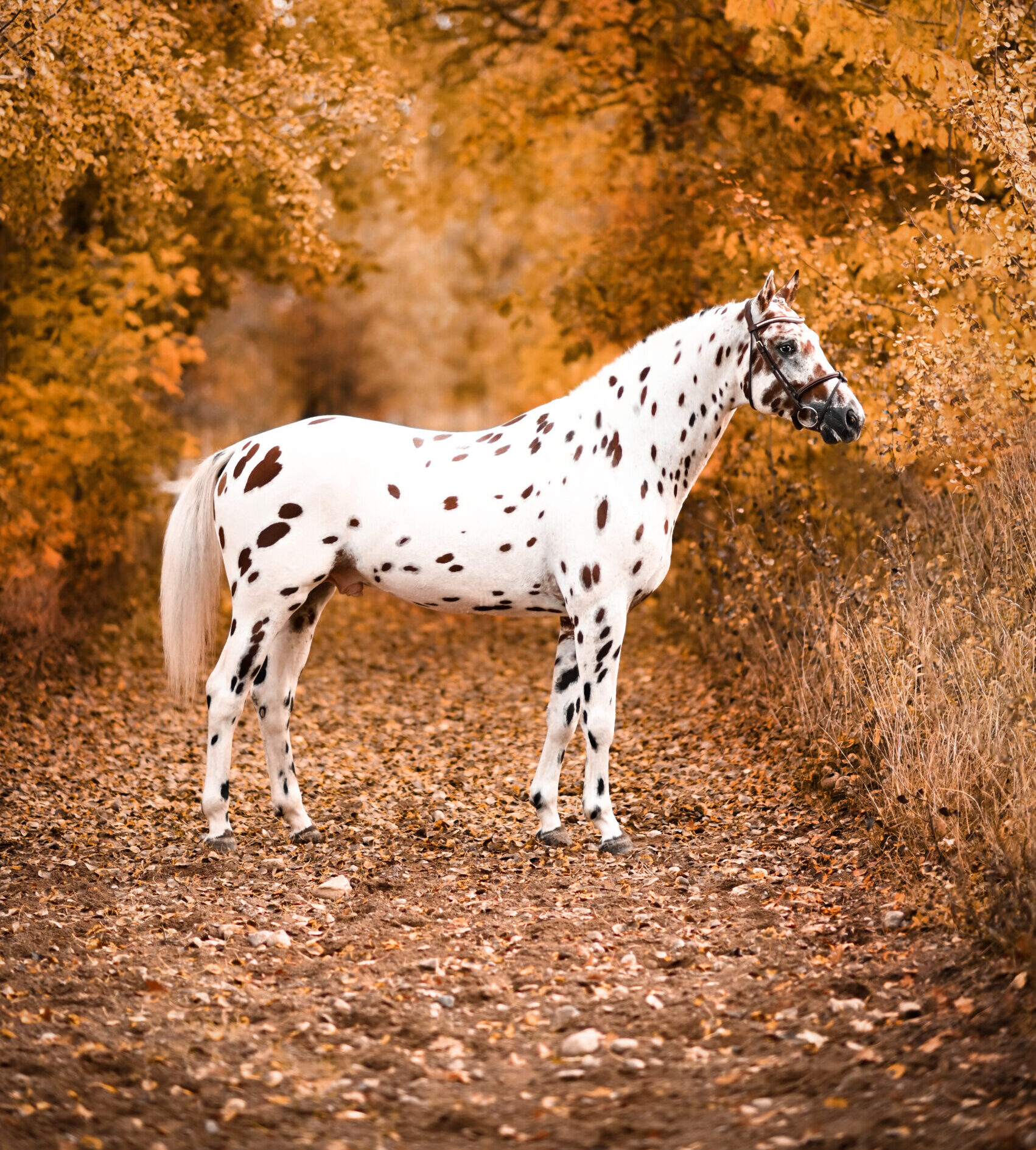 ove 23022022 dsc 1263