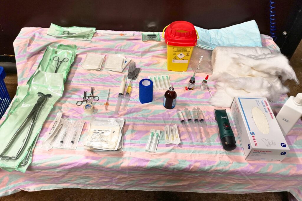 kastration utrustning