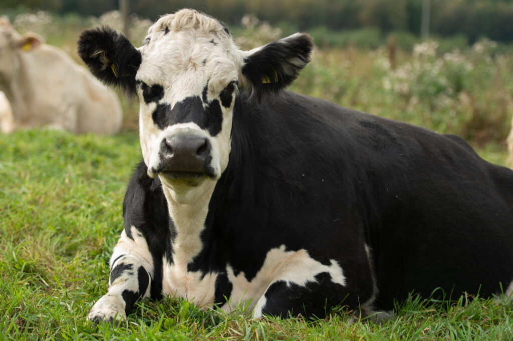 doris farmphoto 220924109