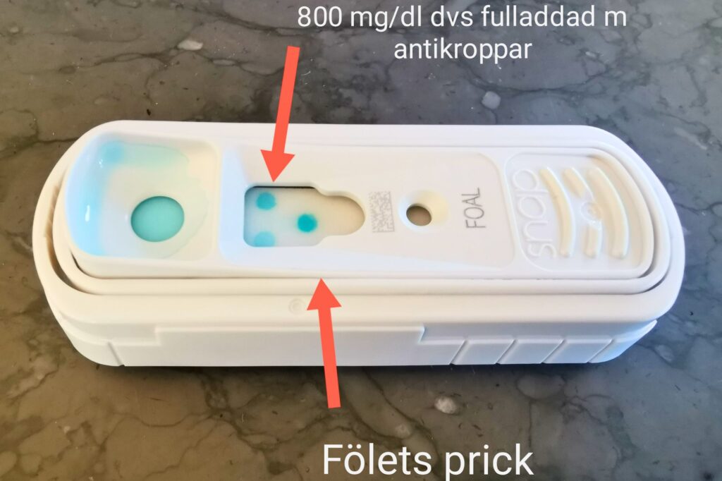 foalcheck test