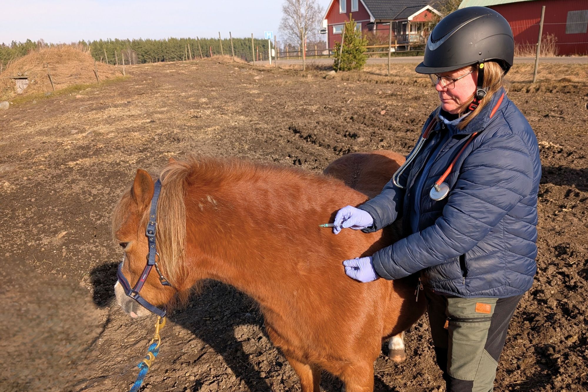 sanna_vaccinerar